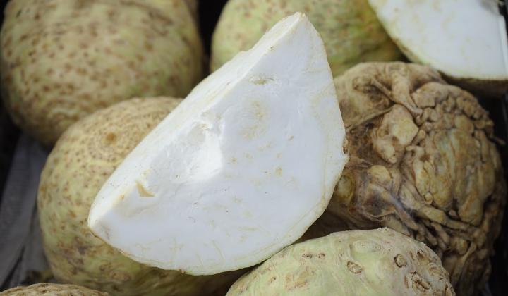 Jak pěstovat celer | rady Jak pěstovat celer | rady