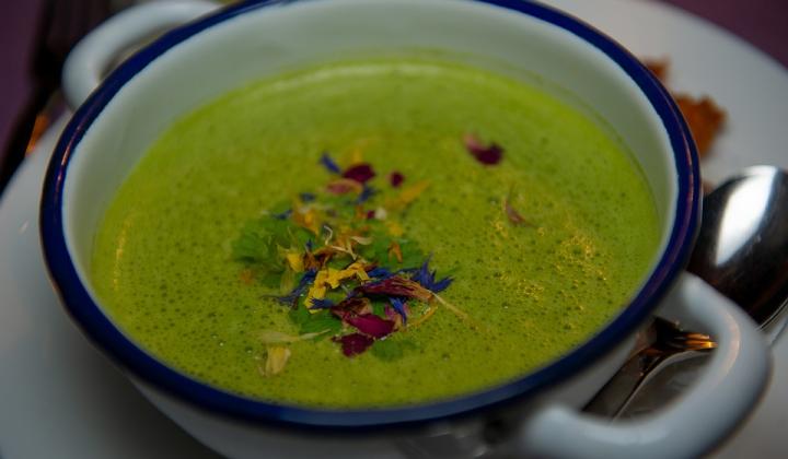 Jak uvařit pórkovou polévku – pórkový krém | recept