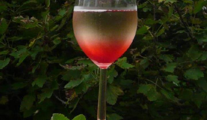 Jak připravit domácí rybízový likér | recept na Creme de Cassis a francouzský Kir Jak připravit domácí rybízový likér | recept na Creme de Cassis a francouzský Kir