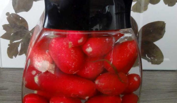Jak naložit ředkvičky do sladkokyselého nálevu | recept Jak naložit ředkvičky do sladkokyselého nálevu | recept