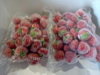 Jak a proč vakuovat potraviny | rady a tipy Jak a proč vakuovat potraviny | rady a tipy