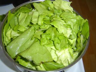 Ztráta zdravých látek? Podle různých nutričních tabulek obsahuje salát (locika) sodík, draslík, železo, křemík a fluor. Z vitaminů to jsou B, C a E. Kromě „céčka“, které se varem ničí, měly by v uvařeném salátu (a v jeho vývaru) všechny ostatní zdraví prospěšné látky zůstat. Konec konců – tak by se dalo diskutovat o jakékoliv vařené zelenině (respektive zeleninové polévce).