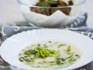 Jak uvařit pórkovou polévku se slunečnicovými semínky | recept
