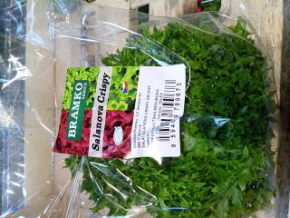 salanova crispi salanova crispy
