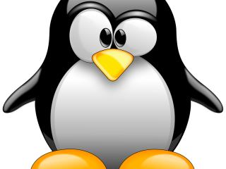 Jak postupovat při práci s operačním systémem Linux? | rady Jak postupovat při práci s operačním systémem Linux? | rady